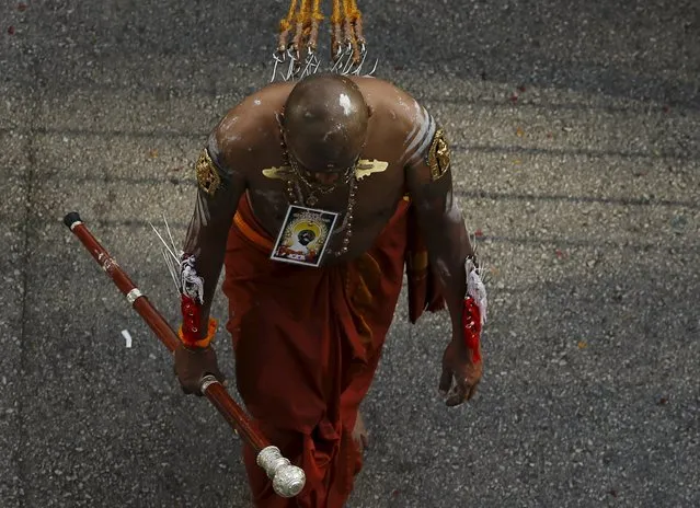 A devotee pulls a chariot with hooks pierced to his back during Thaipusam festival in Singapore January 24, 2016. (Photo by Edgar Su/Reuters)