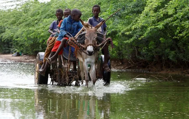 Somali children ride their donkey through flood water following heavy rains that have led the Juba river to overflow and flood large swathes of land in Dolow, Gedo region, Jubaland State of Somalia on November 13, 2023. (Photo by Feisal Omar/Reuters)