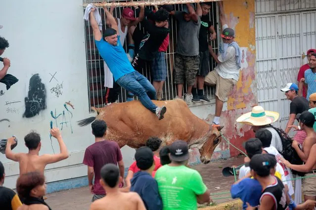 A man tries to ride a bull during the opening celebrations of the traditional festival of San Jerónimo in Masaya, Nicaragua, on September 29, 2022. (Photo by Oswaldo RIvas/AFP Photo)
