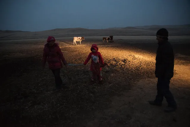 A family of herders at dusk, in the grassland of West Ujimuqin. The family has been forced to move out of their grassland due to a nearby coal mine. They have received a paltry compensation for the loss of their land. Mining development in the region, forcing the displacement of herders, as well as pollution, has lead to large scale protests. (Photo by Gilles Sabrie/The Washington Post)