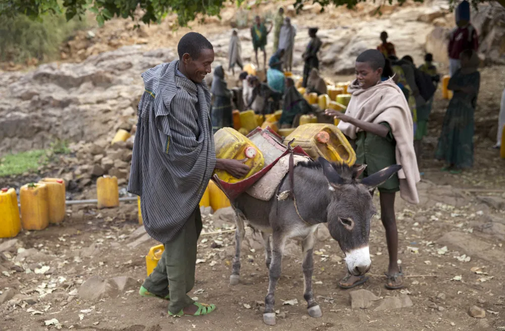 Ethiopia's Drought