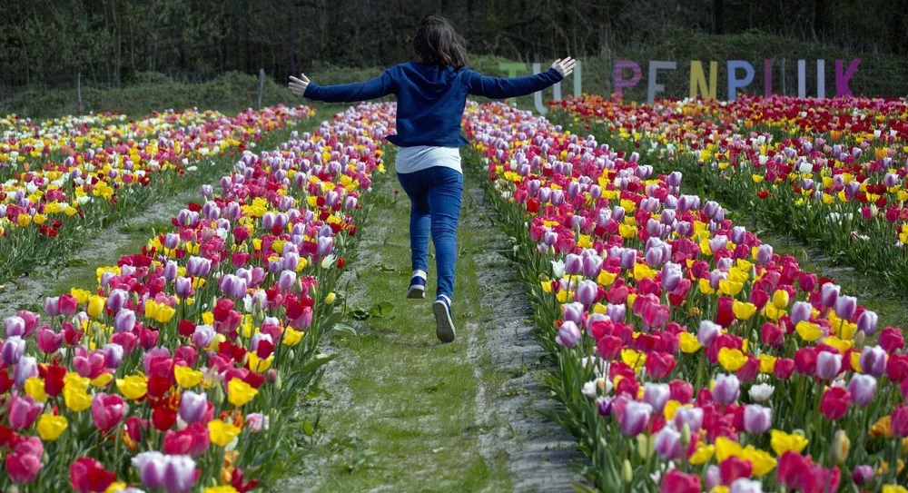 The Week in Pictures: April 17 – April 24, 2015. Part 6/6