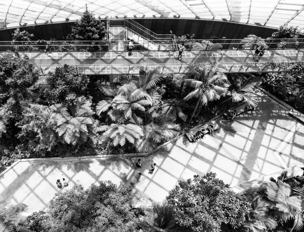 UK International Garden Photographer of the Year 2019: Black & White