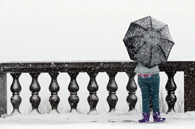 A woman stands on the viewing platform of Vorobyovy Hills during a heavy snowfall during  in Moscow, Russia, 02 February 2016. (Photo by Yuri Kochetkov/EPA)