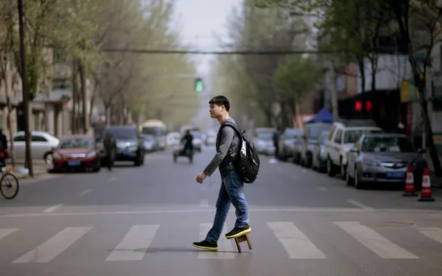 Zhao Qiang walks across a street in Shenyang, Liaoning province, April 14, 2014. Zhao, a community officer of the China Disabled Persons' Federation, was diagnosed with multiple  when he was two, with the resulting tumour affecting the growth of his left leg, his grandmother told local media, citing a doctor's diagnosis. His uncle modified his shoes, fitting them with stools, to allow Zhao to stand and walk. (Photo by Reuters/Stringer)