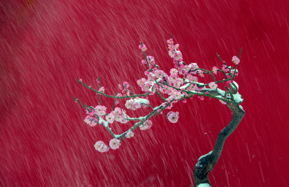 Pictures of the Year 2023, Part 037/224