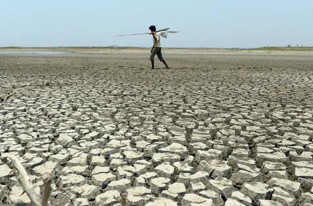 An Indian man walks over the parched bed of a reservoir on the outskirts of Chennai on May 17, 2017. (Photo by Arun Sankar/AFP Photo)