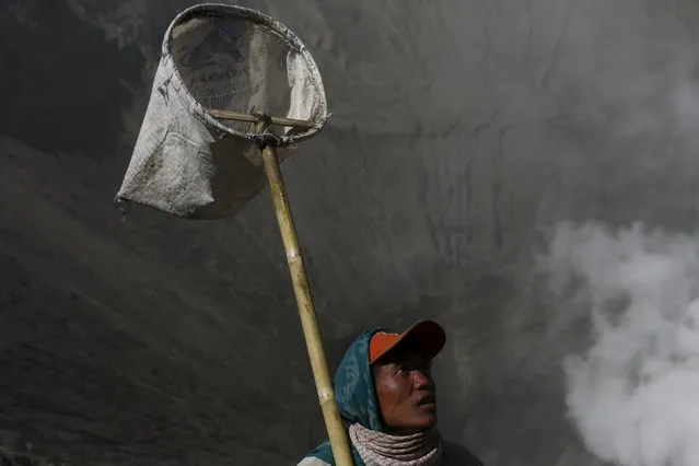 A man holds a net up in the air as he stands along a slope of the crater waiting to catch offerings thrown by Hindu worshippers into the crater during the Kasada Festival at Mount Bromo in Probolinggo, Indonesia's East Java province, August 1, 2015. (Photo by Reuters/Beawiharta)