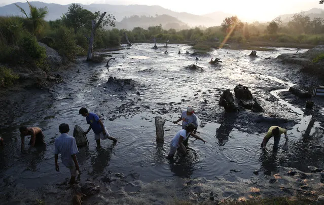 People harvest milkfish from a fishpond, after it was almost emptied of its water, in Barangay Capayang, Marinduque in central Philippines March 23, 2016. (Photo by Erik De Castro/Reuters)