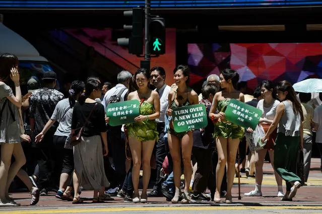 Three women (C) hold placards at a pedestrian crossing as they dress as “Lettuce Ladies” for activist group People for the Ethical Treatment of Animals (PETA) in Hong Kong on June 23, 2016, as part of the group's pro-vegan campaign. (Photo by Anthony Wallace/AFP Photo)