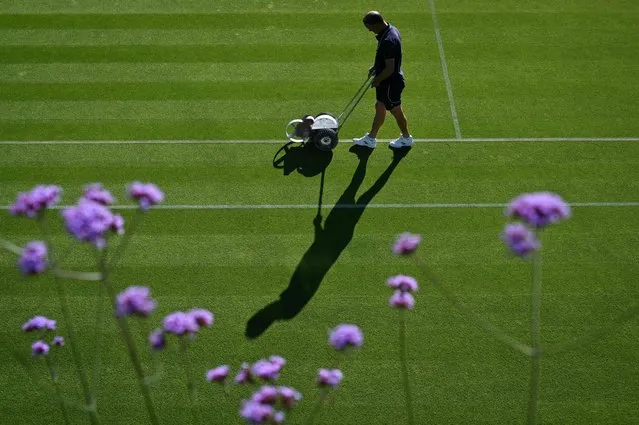 A member of the ground staff cuts the grass on court 18 at the start of the first day of the 2022 Wimbledon Championships at The All England Tennis Club in Wimbledon, southwest London, on June 27, 2022. (Photo by Glyn Kirk/AFP Photo)