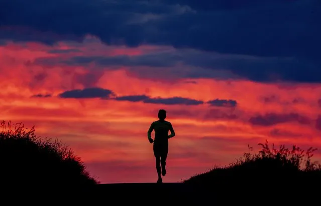 A man runs on a small road in the outskirts of Frankfurt, Germany, before sunrise on Tuesday, May 31, 2022. (Photo by Michael Probst/AP Photo)
