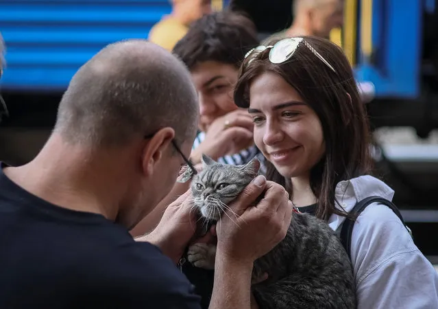 A father says goodbye to a cat and a daughter as they boards a train to Dnipro and Lviv during an evacuation effort from war-affected areas of eastern Ukraine, amid Russia's invasion of the country, in Pokrovsk, Donetsk region, Ukraine on July 20, 2022. (Photo by Gleb Garanich/Reuters)