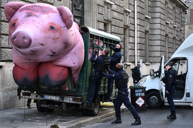 French police officers attempt to dismantle a giant inflatable pig in a trailer blocading a street, by Greenpeace activists taking part a demonstration against agricultural policies and denouncing the ecological impact of industrialized farming, near the Ministry of Agriculture in Paris, on November 20, 2023. (Photo by Miguel Medina/AFP Photo)