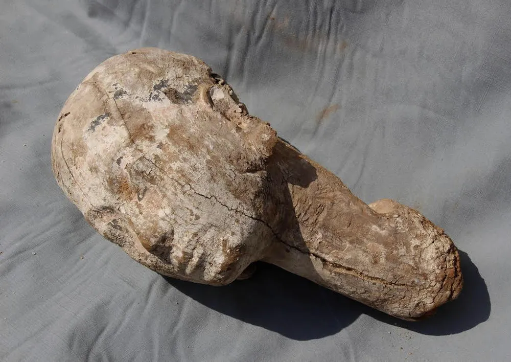 The Day in Photos – October 19, 2017