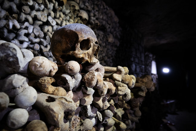 This photograph taken on December 12, 2023, shows human skulls and bones aligned against a wall of Paris' Catacombs, the city's former quarries where the remains of some six million people where transferred from saturated Parisian cemeteries between the end of the 18th century until 1861. (Photo by Julien de Rosa/AFP Photo)