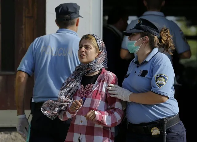 A Croatian policewoman directs a migrant crossing from Serbia after registeration in Tovarnik, Croatia September 16, 2015. Police in Croatia said on Wednesday they were registering migrants entering from Serbia and would transport them to reception centers near the capital Zagreb. (Photo by Antonio Bronic/Reuters)