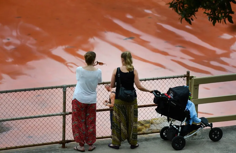 Sydney Beaches Turn Blood Red from Algae