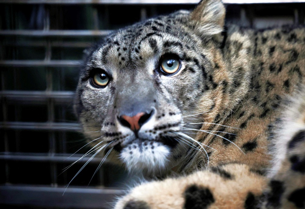 Pictures of the Year 2024, Part 019/240