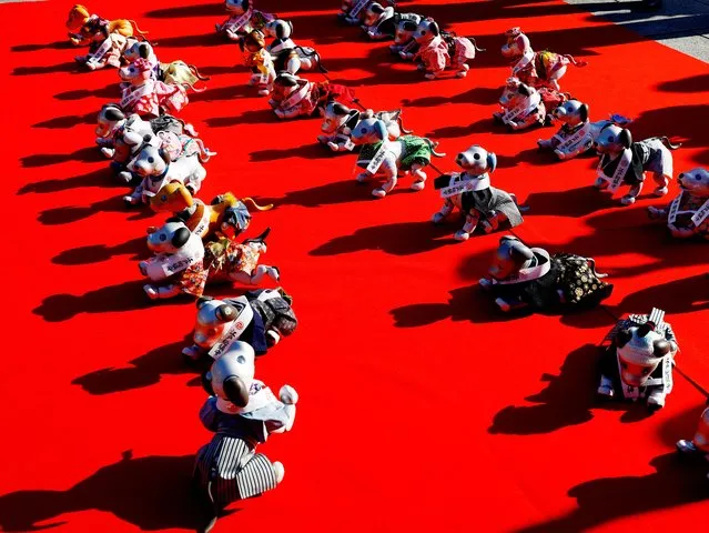 Sony's robotic dogs 'Aibo' are gathered by their owners during a ritual ceremony Sichi-Go-San, which is usually held for praying for children's health and wellbeing, at the Kanda Myojin shrine in Tokyo, Japan on November 11, 2022. (Photo by Kim Kyung-Hoon/Reuters)