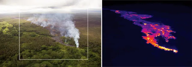 This pair of images released October 22, 2014 by the U.S. Geological Survey shows a comparison of a normal photograph of the lava flow front, left, with a thermal image of the flow that is threatening the town of Pahoa on the Big Island of Hawaii. (Photo by AP Photo/U.S. Geological Survey)