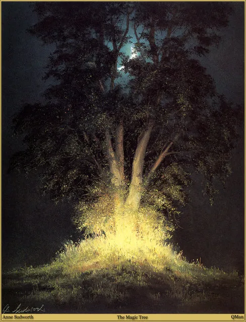 Anne Sudworth – The Magic Tree