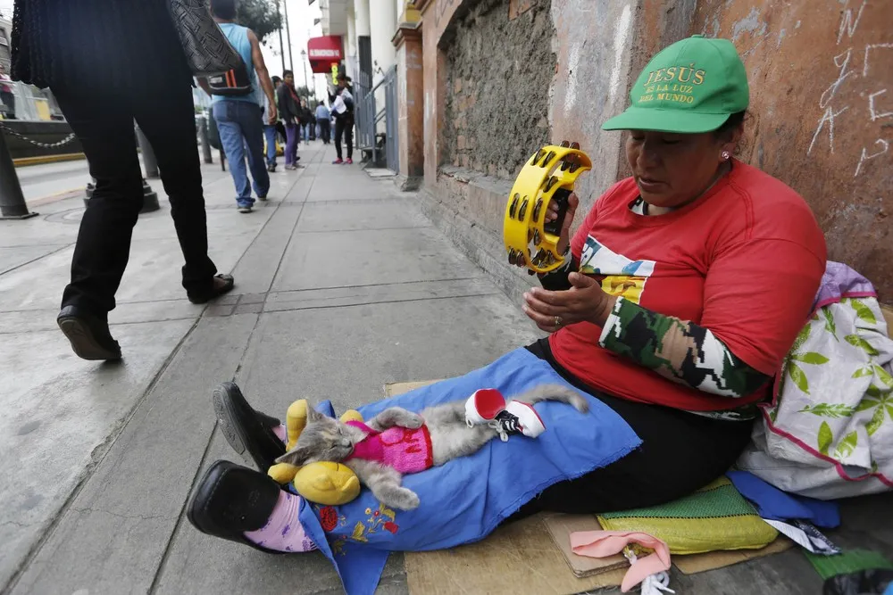 The Week in Pictures: November 8 – November 15, 2014. Part 4/5