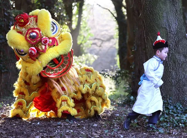 Suadar Oyunbold, age 5 runs from a Lion Dancer in Dublin City Farm at St Anne’s Park on January 9, 2023 to mark the launch of the programme for Dublin Lunar New Year which runs from 21-29 January. (Photo by Dara Mac Dónaill/The Irish Times)