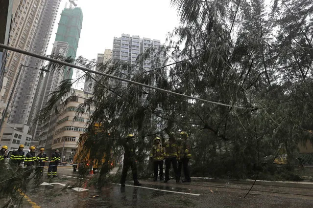 Firemen remove the tree branches broken by strong winds caused by Typhoon Haima in Hong Kong, Friday, October 21, 2016. (Photo by Kin Cheung/AP Photo)