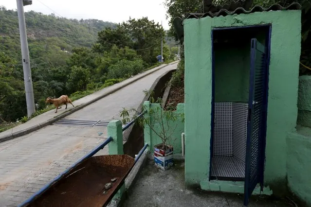 A dog runs past a bar toilet in the Turano slum in Rio de Janeiro, Brazil, October 1, 2015. (Photo by Sergio Moraes/Reuters)