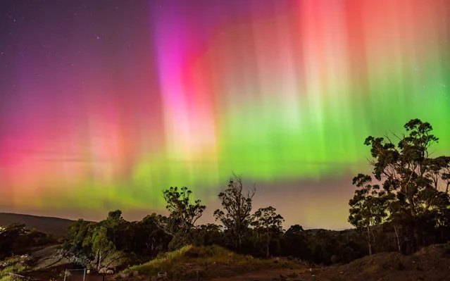 Aurora Australis, also known as the Southern Lights, seen in the early morning in Hobart, Tasmaia on April 24, 2023. (Photo by Bruce Cooper/The Guardian)