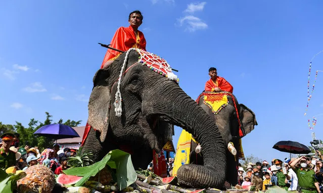 Mahouts sit on their elephants while they eat during the Buon Don elephant festival in Vietnam's central highlands of Dak Lak province on March 12, 2023. (Photo by Nhac Nguyen/AFP Photo)