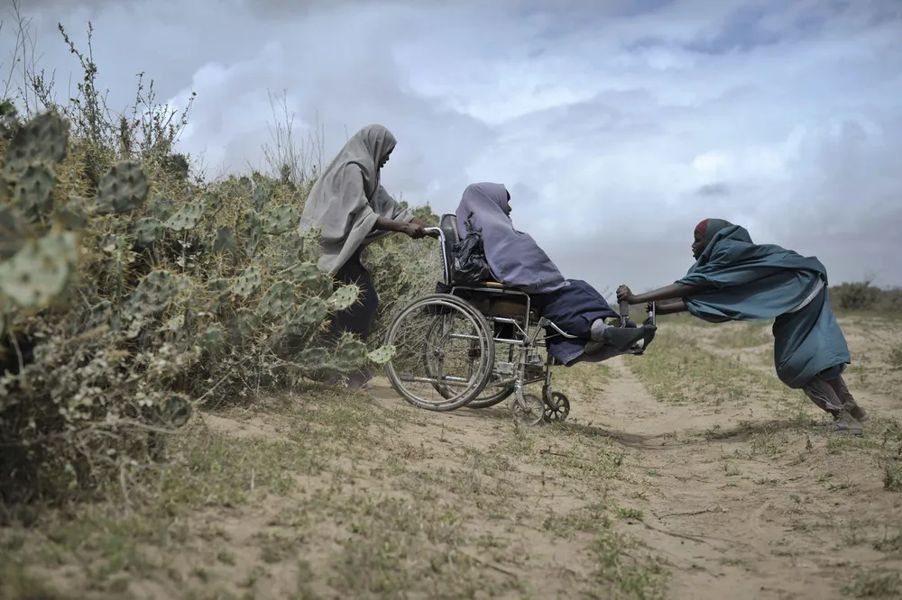 The Week in Pictures August 3 – August 9, 2013 (71 Photos)