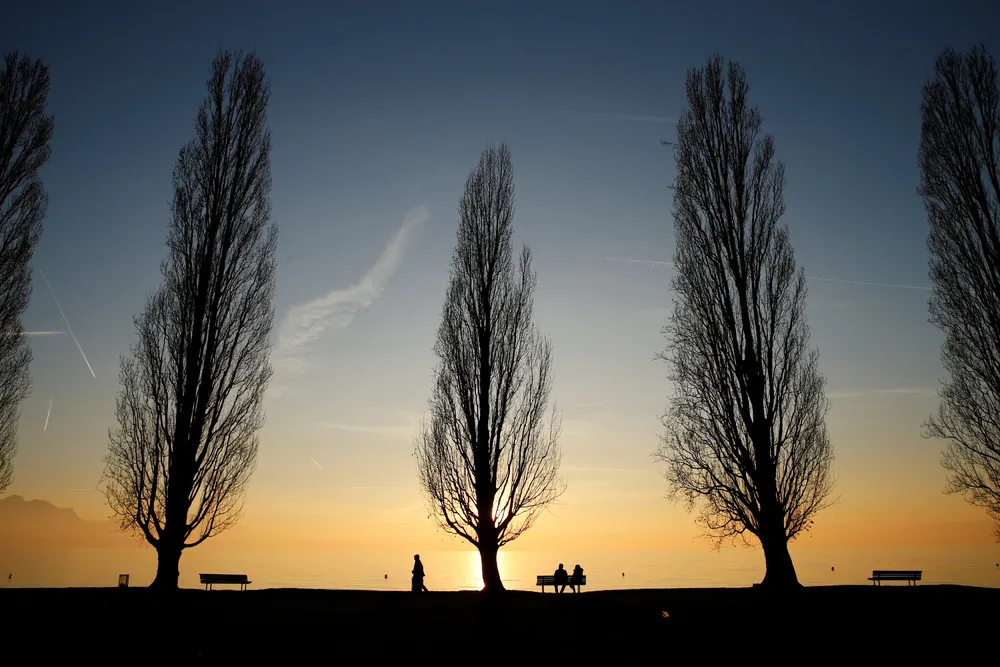 Simply Some Photos: Silhouettes