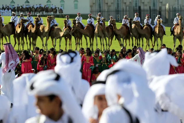 Qatari royal guards ride camels as people gather during a welcoming ceremony for Saudi King Salman at the Royal Court on Doha Corniche, Qatar, December 5, 2016. (Photo by Naseem Zeitoon/Reuters)