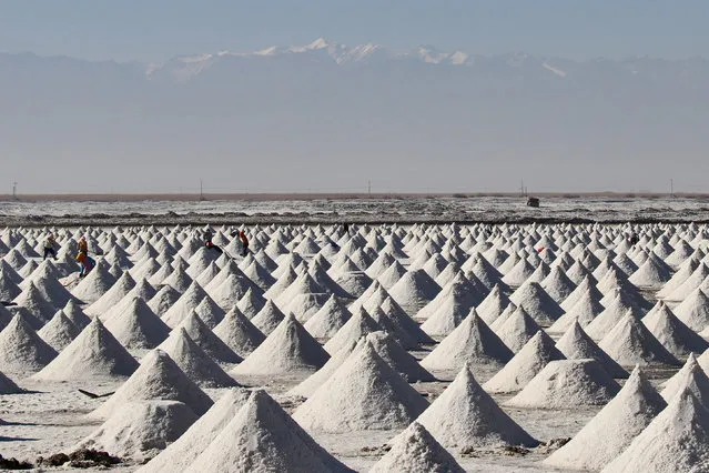 People work among piles of dried crude salt at a salt lake in Zhangye, Gansu province, China October 31, 2018. (Photo by Reuters/China Stringer Network)