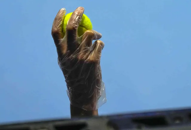 A ballboy wearing gloves to help curb the spread of the coronavirus throws the ball during the St. Petersburg Open ATP tennis tournament match between Taylor Fritz of the United States and Emil Ruusuvuori of Finland in St.Petersburg, Russia, Tuesday, October 26, 2021. (Photo by Dmitry Lovetsky/AP Photo)