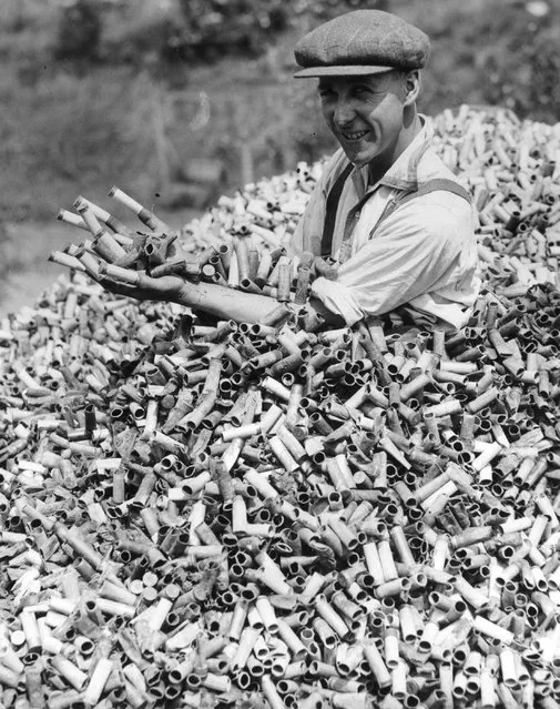 A man buried in spent cartridges in a dump in at the Gun Club in Crayford, Kent, which has been building up over five years. During the shooting season over 20,000 cartridges are fired a week. 25th May 1934. (Photo by Reg Speller/Fox Photos/Getty Images)