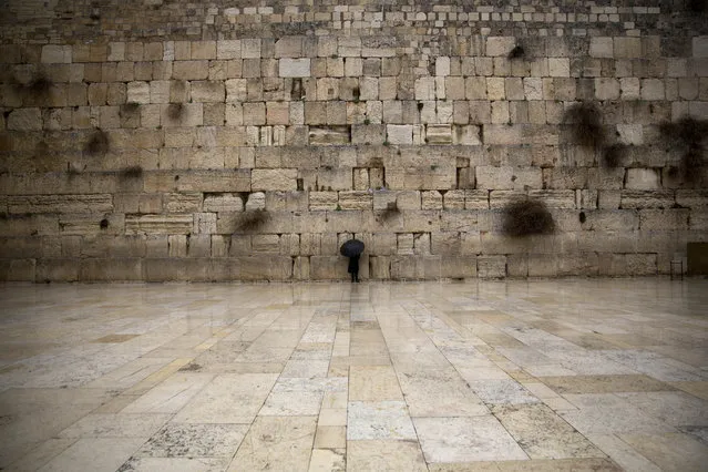 An ultra-Orthodox Jewish man prays at the Western Wall, the holiest site where Jews can pray in Jerusalem's Old City, Sunday, February 7, 2016. (Photo by Sebastian Scheiner/AP Photo)