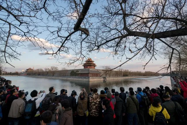 People crowd to take pictures of a turret of the Forbidden City in Beijing, China, February 25, 2017. (Photo by Reuters/Stringer)