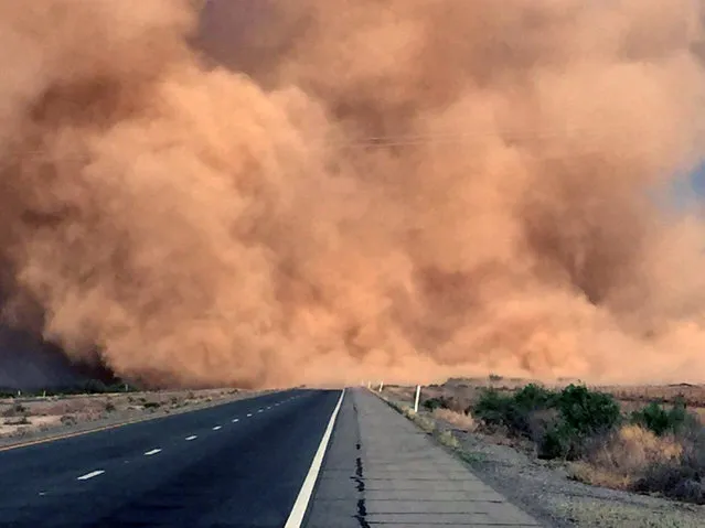 This Monday, May 16, 2016 photo, shows a dust storm on Interstate 10 near San Simon, Ariz. State officials say the owner of a farm that was cleared but not planted will face fines if the owner doesn't act to contain the soil, which is loose and easily picked up by winds. A  dry winter means the Southwest is seeing a greater number of dust storms. (Photo by Arizona Department of Public Safety via AP Photo)