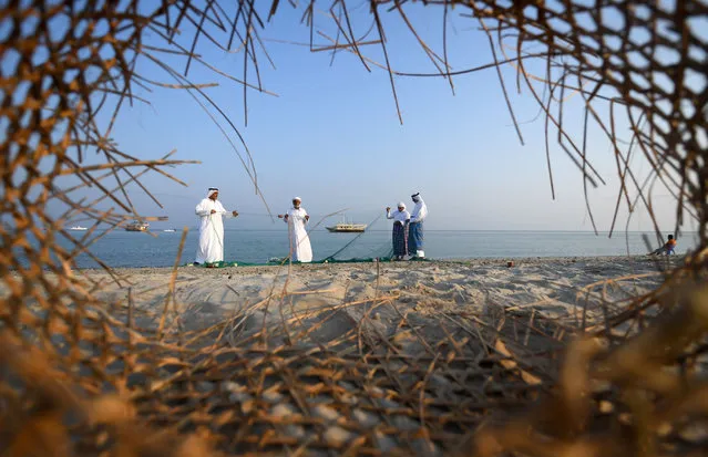 Emirati fishermen set up nets on the shore during the Dalma Sailing Festival, off the coast of Dalma island in the Persian Gulf, about 40 kilometres off of the Emirati capital Abu Dhabi on October 21, 2019. (Photo by Karim Sahib/AFP Photo)