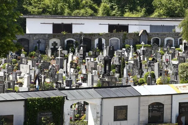 A cemetery is pictured in Schaerding, Upper Austria, May 19, 2014.  REUTERS/Michaela Rehle