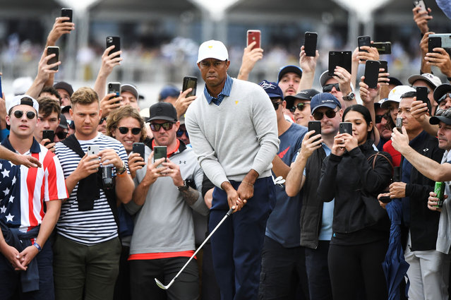 US player Tiger Woods chips onto the green during the second day of the Presidents Cup golf tournament in Melbourne on December 13, 2019. (Photo by William West/AFP Photo)