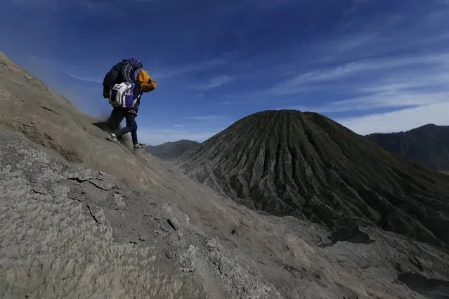 People walk down the slope of Mount Bromo after attending the Kasada Festival in Probolinggo, Indonesia's East Java province, August 1, 2015. (Photo by Reuters/Beawiharta)