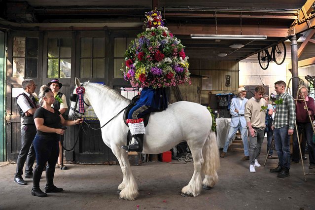 John Turner, the 'King' of Castleton Garland Day, on horse-back, covered to the waist in a heavy, bell-shaped floral Garland, prepares to parade through the village of Castleton in the Peak District, northern England on May 29, 2023. The date of the custom coincides with Oak Apple Day and it is said to commemorate the restoration of King Charles II in 1660. The Garland is meant to represent the oak tree in which he hid after the Battle of Worcester. (Photo by Oli Scarff/AFP Photo)