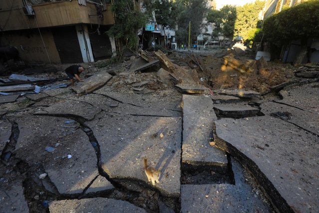 A cat (bottom) wanders on a damaged street at the site of an Israeli airstrike in the Mreijeh neighborhood of Beirut's southern suburb on October 4, 2024. A source close to Hezbollah said Israel had conducted 11 consecutive strikes on the group's south Beirut stronghold late October 3, in one of the most violent raids since Israel intensified its bombardment campaign last week. (Photo by AFP Photo/Stringer)