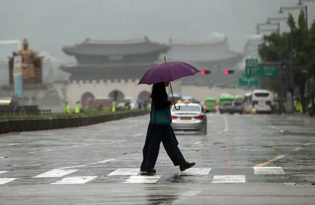 Holding an umbrella, a citizen walks across a zebra crossing in downtown Seoul, South Korea, 24 May 2016, as rain falls across the nation after days of unusually hot weather with daytime highs hovering above 30-degree Celsius. (Photo by EPA/Yonhap)