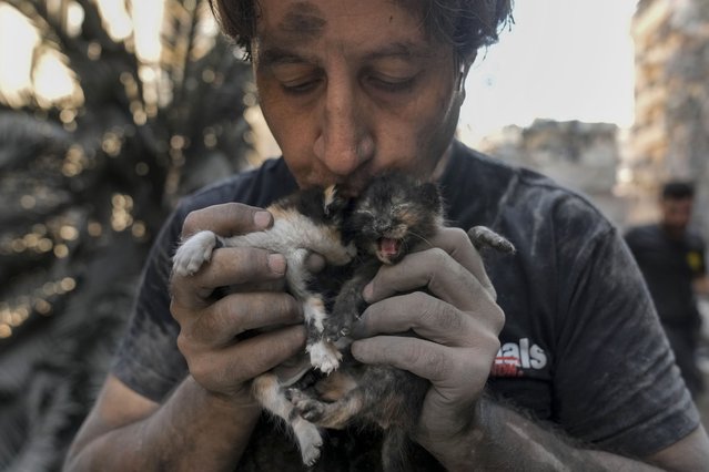 Kamal Khatib, a volunteer with the Animals Lebanon rescue group, kisses kittens after rescuing them from debris of destroyed buildings at the site of Thursday's Israeli airstrike, in Beirut, Lebanon, Friday, October 11, 2024. (Photo by Bilal Hussein/AP Photo)