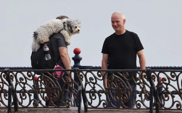 A man and his best friends, Bray Seafront, Wicklow, Republic of Ireland on July 22, 2022.  (Photo by Nick Bradshaw for The Irish Times)
